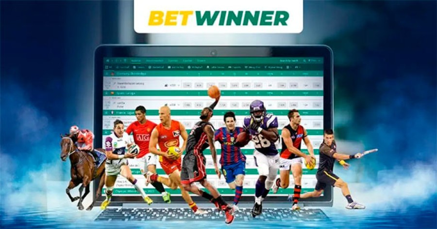 Discover the Thrills of Betwinner Casino A Comprehensive Guide